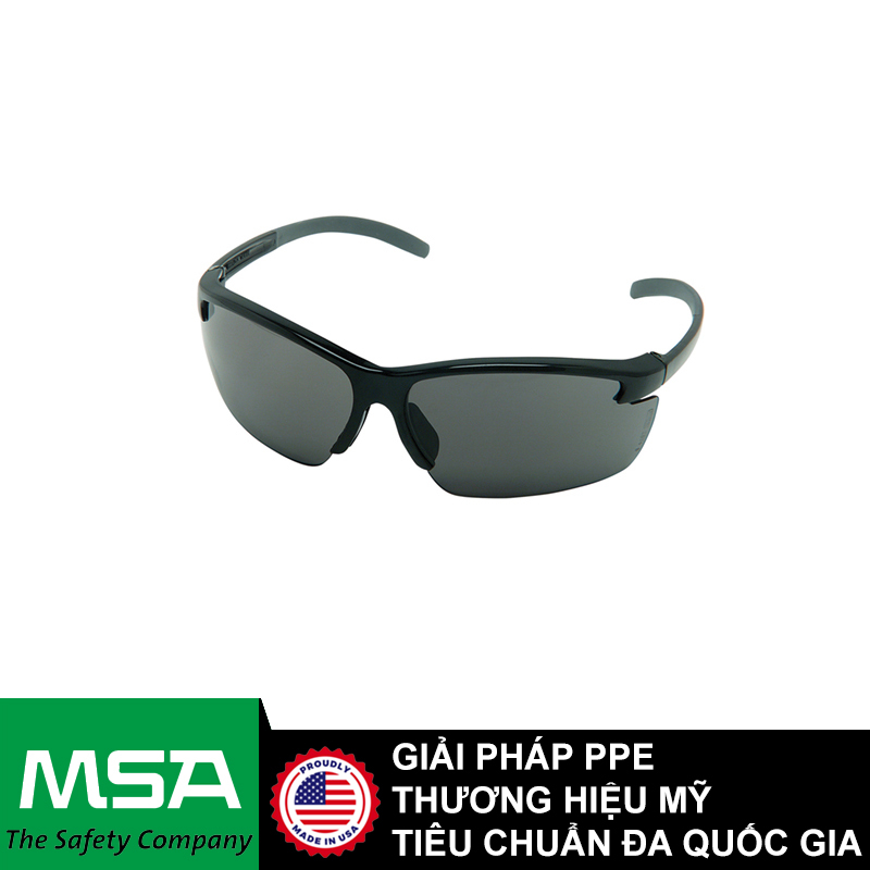 Kính bảo hộ MSA 10033719 lens xám