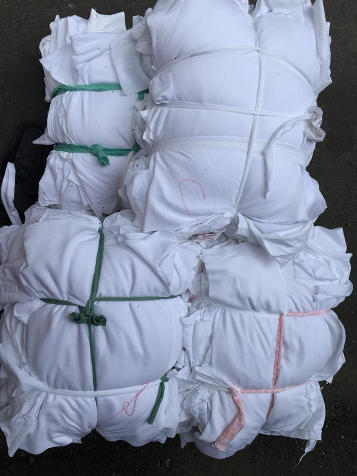 Rẻ lau cotton trắng